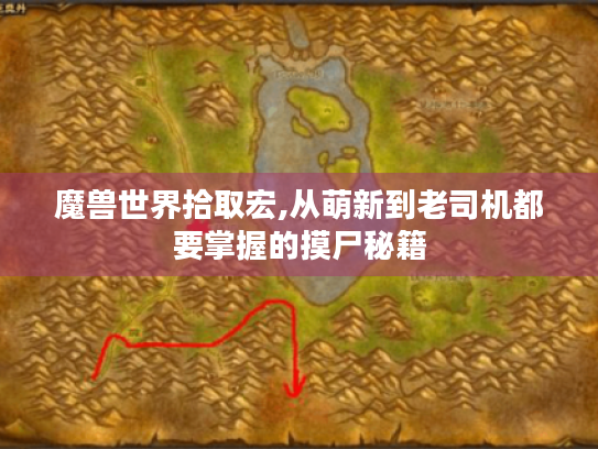 魔兽世界拾取宏,从萌新到老司机都要掌握的摸尸秘籍 魔兽世界拾取宏,从萌新到老司机都要掌握的摸尸秘籍