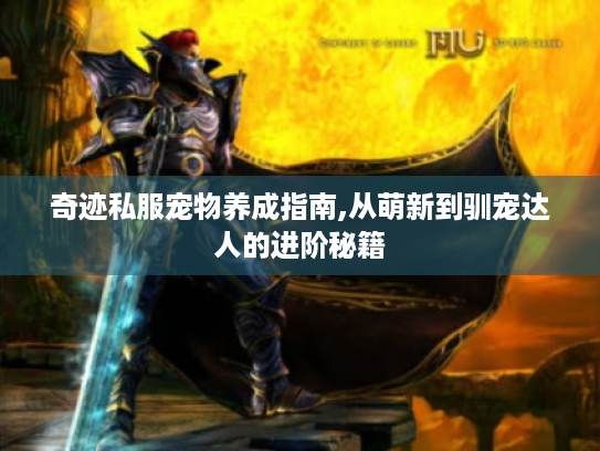 奇迹私服宠物养成指南,从萌新到驯宠达人的进阶秘籍 奇迹私服宠物养成指南,从萌新到驯宠达人的进阶秘籍