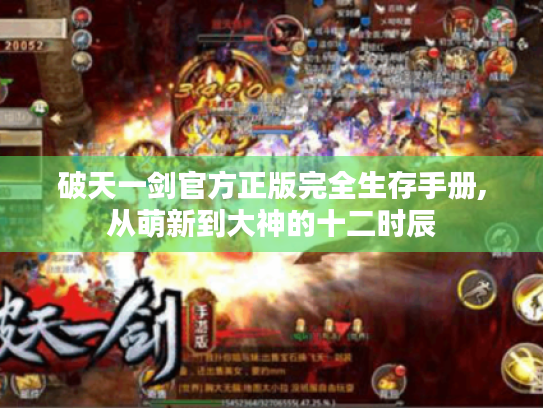 破天一剑官方正版完全生存手册,从萌新到大神的十二时辰 破天一剑官方正版完全生存手册,从萌新到大神的十二时辰