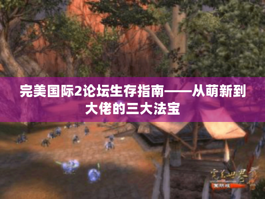 完美国际2论坛生存指南——从萌新到大佬的三大法宝