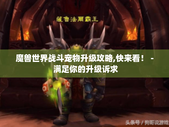 魔兽世界战斗宠物升级攻略,快来看! - 满足你的升级诉求 魔兽世界战斗宠物升级攻略,快来看! - 满足你的升级诉求