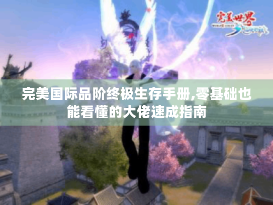 完美国际品阶终极生存手册,零基础也能看懂的大佬速成指南