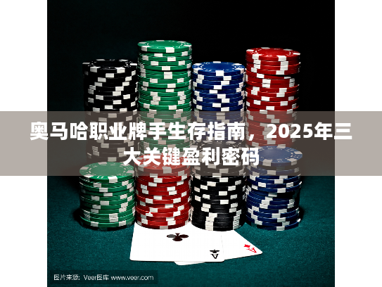 奥马哈职业牌手生存指南,2025年三大关键盈利密码 奥马哈职业牌手生存指南,2025年三大关键盈利密码