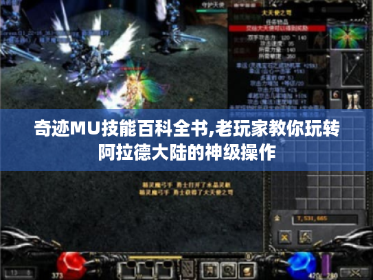 奇迹MU技能百科全书,老玩家教你玩转阿拉德大陆的神级操作 奇迹MU技能百科全书,老玩家教你玩转阿拉德大陆的神级操作