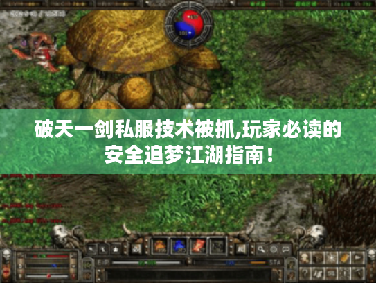 破天一剑私服技术被抓,玩家必读的安全追梦江湖指南! 破天一剑私服技术被抓,玩家必读的安全追梦江湖指南!