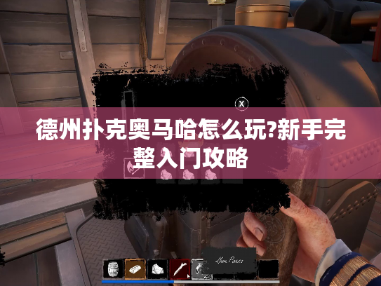 德州扑克奥马哈怎么玩?新手完整入门攻略