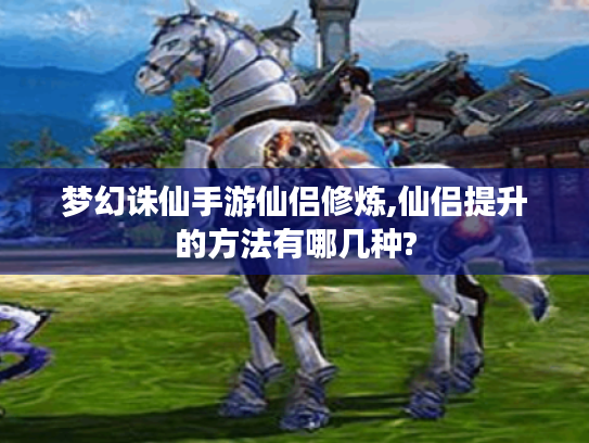 梦幻诛仙手游仙侣修炼,仙侣提升的方法有哪几种? 梦幻诛仙手游仙侣修炼,仙侣提升的方法有哪几种?