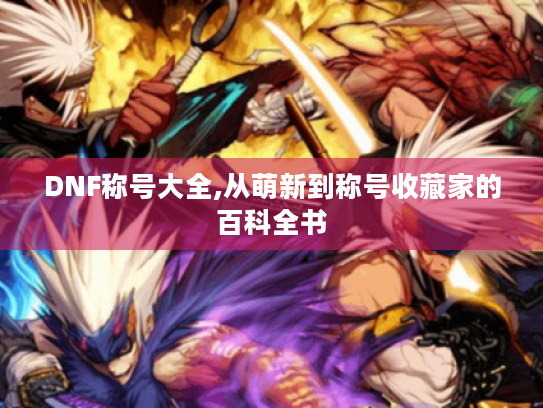 DNF称号大全,从萌新到称号收藏家的百科全书