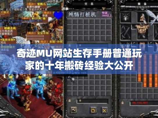 奇迹MU网站生存手册普通玩家的十年搬砖经验大公开 奇迹MU网站生存手册普通玩家的十年搬砖经验大公开
