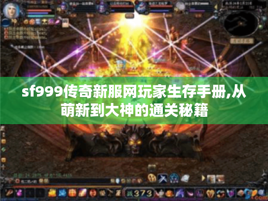 sf999传奇新服网玩家生存手册,从萌新到大神的通关秘籍 sf999传奇新服网玩家生存手册,从萌新到大神的通关秘籍