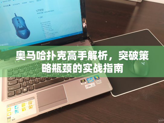 奥马哈扑克高手解析，突破策略瓶颈的实战指南