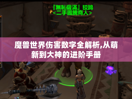 魔兽世界伤害数字全解析,从萌新到大神的进阶手册