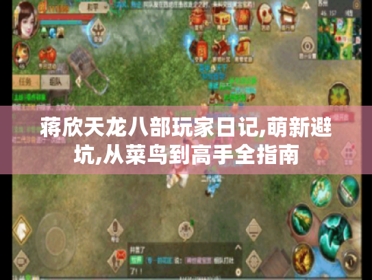 蒋欣天龙八部玩家日记,萌新避坑,从菜鸟到高手全指南 蒋欣天龙八部玩家日记,萌新避坑,从菜鸟到高手全指南