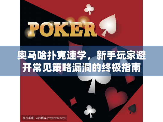 奥马哈扑克速学,新手玩家避开常见策略漏洞的终极指南 奥马哈扑克速学,新手玩家避开常见策略漏洞的终极指南