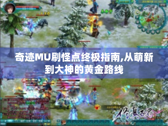 奇迹MU刷怪点终极指南,从萌新到大神的黄金路线 奇迹MU刷怪点终极指南,从萌新到大神的黄金路线
