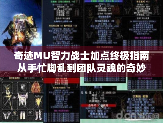 奇迹MU智力战士加点终极指南从手忙脚乱到团队灵魂的奇妙冒险 奇迹MU智力战士加点终极指南从手忙脚乱到团队灵魂的奇妙冒险