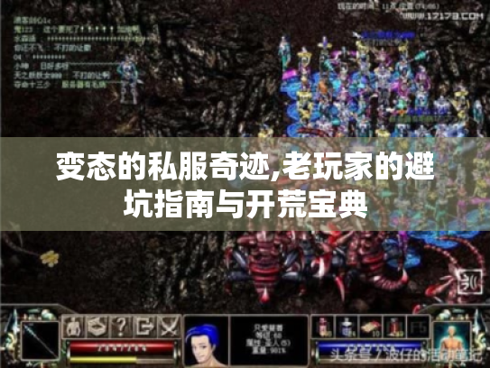 变态的私服奇迹,老玩家的避坑指南与开荒宝典 变态的私服奇迹,老玩家的避坑指南与开荒宝典