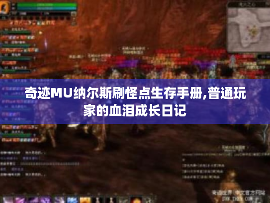 奇迹MU纳尔斯刷怪点生存手册,普通玩家的血泪成长日记 奇迹MU纳尔斯刷怪点生存手册,普通玩家的血泪成长日记