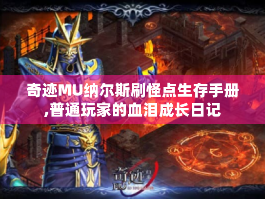 奇迹MU纳尔斯刷怪点生存手册,普通玩家的血泪成长日记 奇迹MU纳尔斯刷怪点生存手册,普通玩家的血泪成长日记
