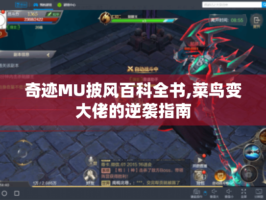 奇迹MU披风百科全书,菜鸟变大佬的逆袭指南 奇迹MU披风百科全书,菜鸟变大佬的逆袭指南