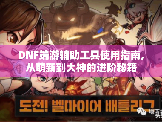 DNF端游辅助工具使用指南,从萌新到大神的进阶秘籍 DNF端游辅助工具使用指南,从萌新到大神的进阶秘籍