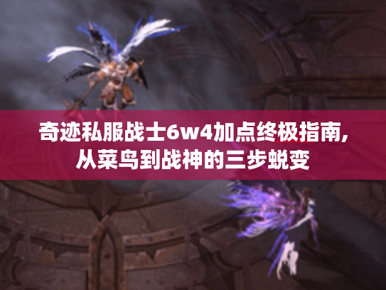 奇迹私服战士6w4加点终极指南,从菜鸟到战神的三步蜕变 奇迹私服战士6w4加点终极指南,从菜鸟到战神的三步蜕变