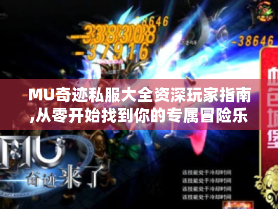 MU奇迹私服大全资深玩家指南,从零开始找到你的专属冒险乐园！