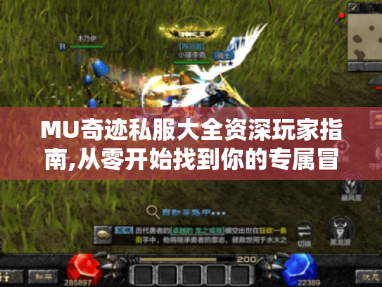 MU奇迹私服大全资深玩家指南,从零开始找到你的专属冒险乐园！
