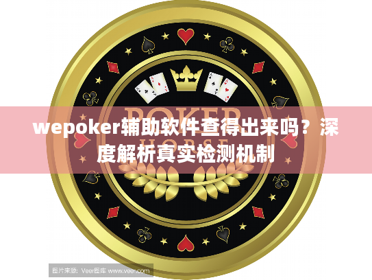 wepoker辅助软件查得出来吗？深度解析真实检测机制