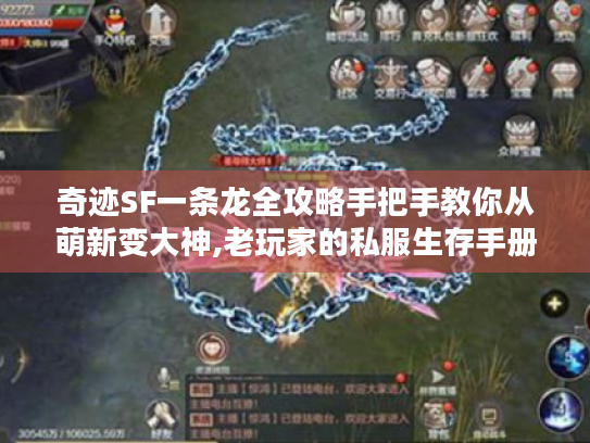 奇迹SF一条龙全攻略手把手教你从萌新变大神,老玩家的私服生存手册 奇迹SF一条龙全攻略手把手教你从萌新变大神,老玩家的私服生存手册