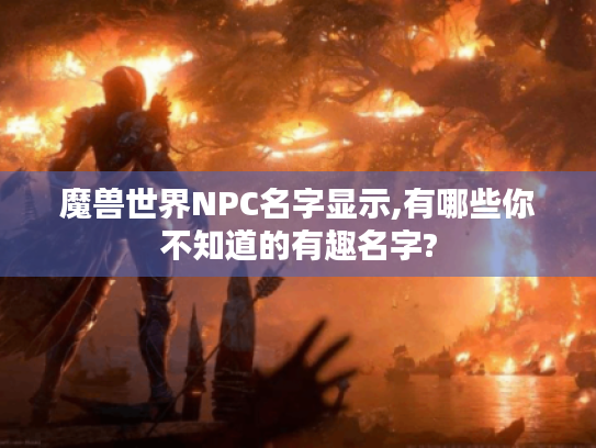 魔兽世界NPC名字显示,有哪些你不知道的有趣名字?