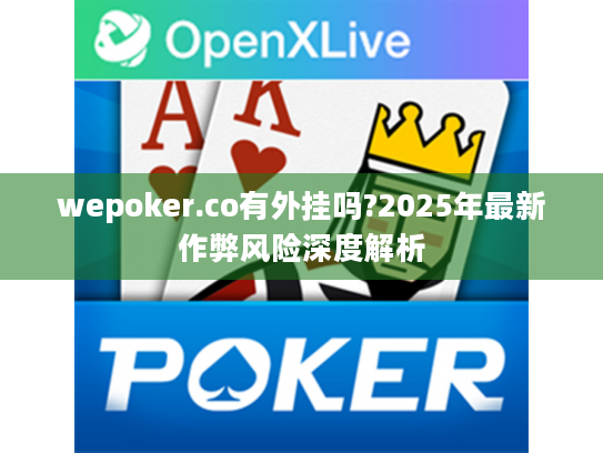 wepoker.co有外挂吗?2025年最新作弊风险深度解析