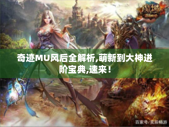 奇迹MU风后全解析,萌新到大神进阶宝典,速来! 奇迹MU风后全解析,萌新到大神进阶宝典,速来!