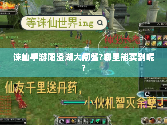 诛仙手游阳澄湖大闸蟹?哪里能买到呢? 诛仙手游阳澄湖大闸蟹?哪里能买到呢?