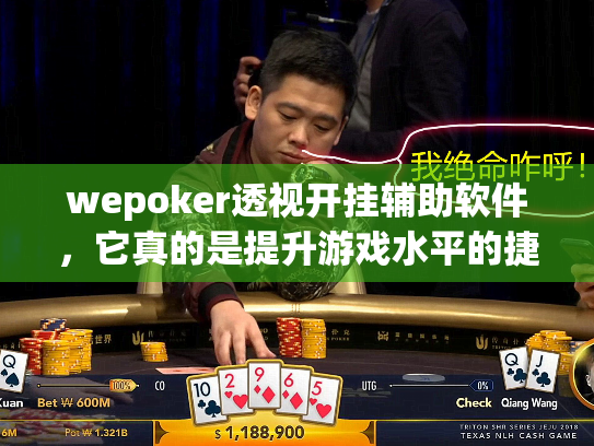 wepoker透视开挂辅助软件,它真的是提升游戏水平的捷径吗? wepoker透视开挂辅助软件,它真的是提升游戏水平的捷径吗?