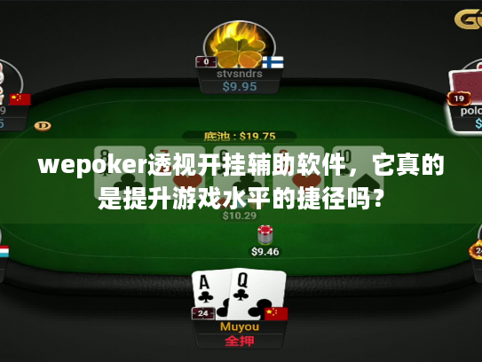 wepoker透视开挂辅助软件,它真的是提升游戏水平的捷径吗? wepoker透视开挂辅助软件,它真的是提升游戏水平的捷径吗?
