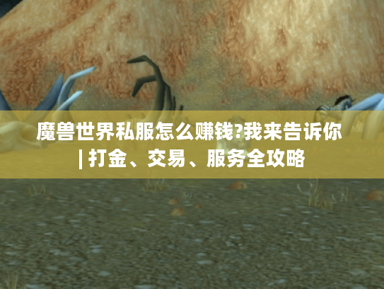 魔兽世界私服怎么赚钱?我来告诉你 | 打金、交易、服务全攻略