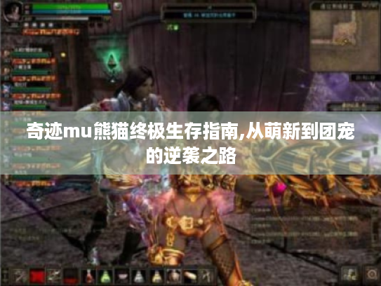 奇迹mu熊猫终极生存指南,从萌新到团宠的逆袭之路 奇迹mu熊猫终极生存指南,从萌新到团宠的逆袭之路