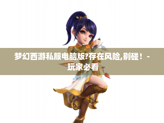 梦幻西游私服电脑版?存在风险,别碰！- 玩家必看