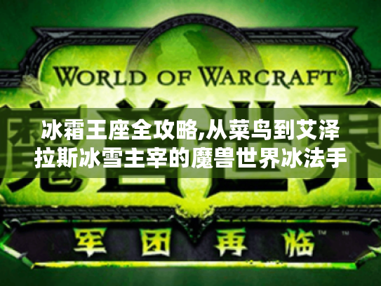 冰霜王座全攻略,从菜鸟到艾泽拉斯冰雪主宰的魔兽世界冰法手册