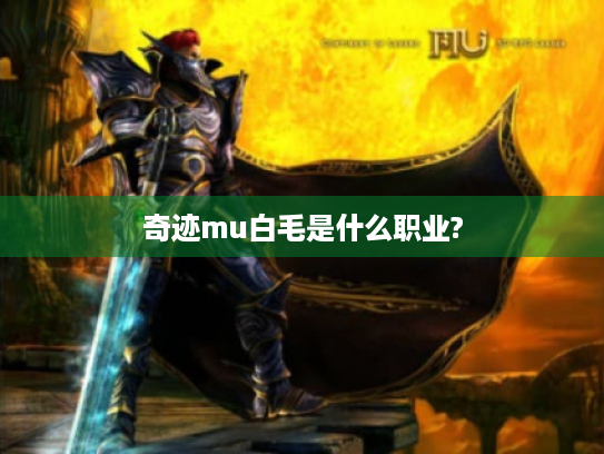奇迹mu白毛是什么职业? 奇迹mu白毛是什么职业?