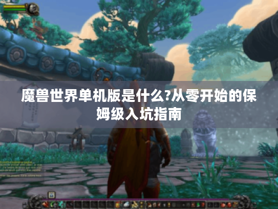 魔兽世界单机版是什么?从零开始的保姆级入坑指南 魔兽世界单机版是什么?从零开始的保姆级入坑指南