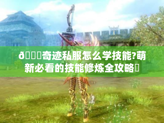 📚奇迹私服怎么学技能?萌新必看的技能修炼全攻略✨ 📚奇迹私服怎么学技能?萌新必看的技能修炼全攻略✨