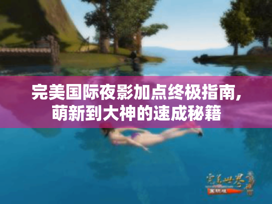 完美国际夜影加点终极指南,萌新到大神的速成秘籍 完美国际夜影加点终极指南,萌新到大神的速成秘籍