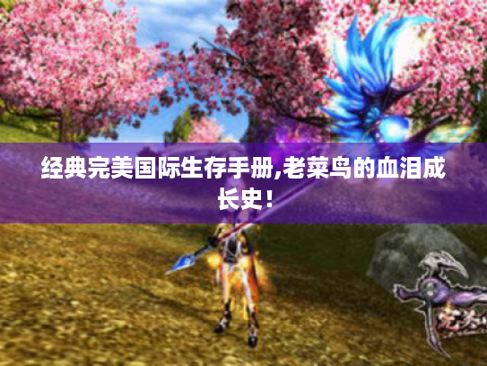 经典完美国际生存手册,老菜鸟的血泪成长史! 经典完美国际生存手册,老菜鸟的血泪成长史!