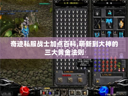 奇迹私服战士加点百科,萌新到大神的三大黄金法则 奇迹私服战士加点百科,萌新到大神的三大黄金法则