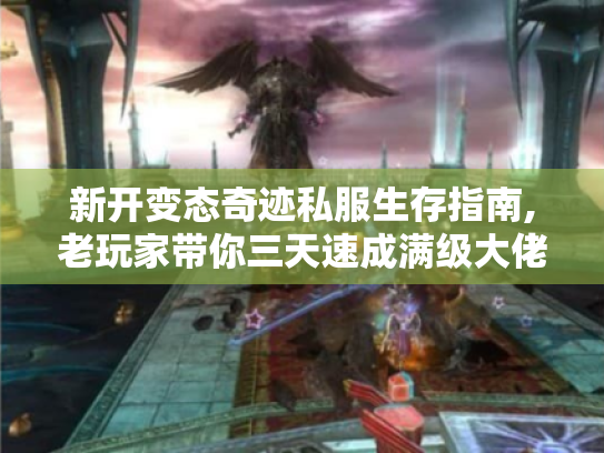 新开变态奇迹私服生存指南,老玩家带你三天速成满级大佬