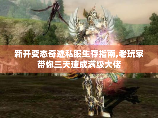 新开变态奇迹私服生存指南,老玩家带你三天速成满级大佬