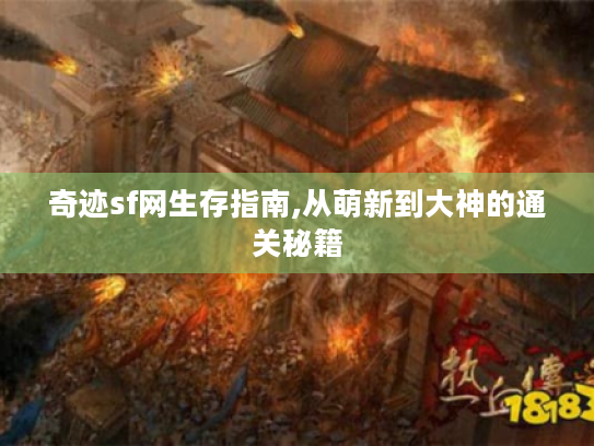 奇迹sf网生存指南,从萌新到大神的通关秘籍 奇迹sf网生存指南,从萌新到大神的通关秘籍