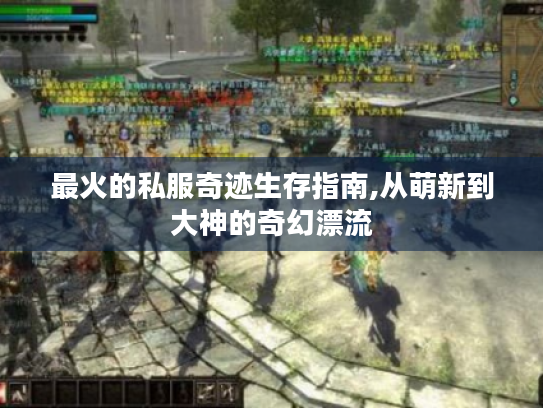 最火的私服奇迹生存指南,从萌新到大神的奇幻漂流 最火的私服奇迹生存指南,从萌新到大神的奇幻漂流